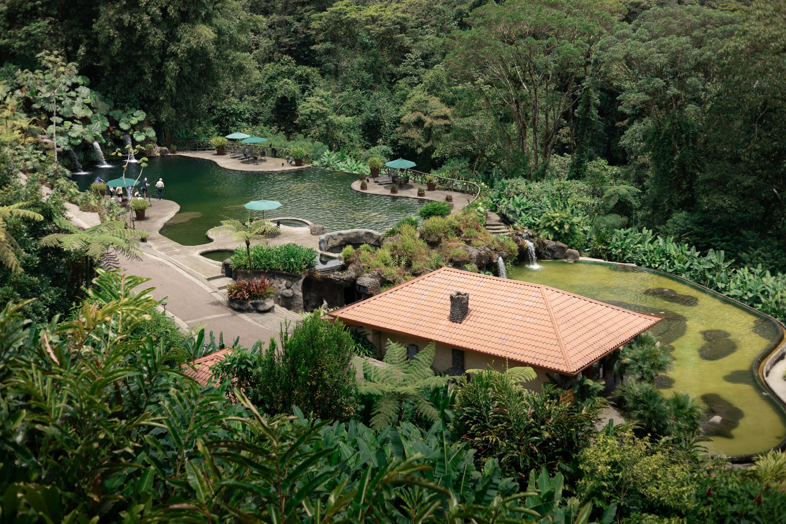 pexels-photo-17488420-17488420 A pool surrounded by lush green trees and a small house